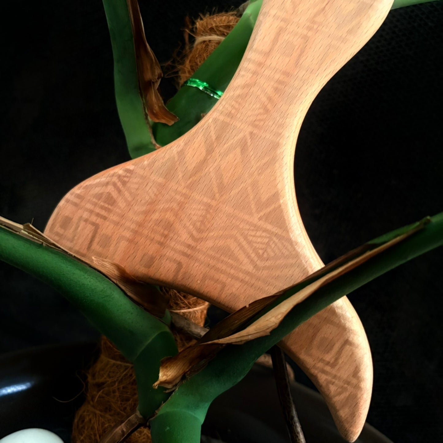 Wood Tool image 0