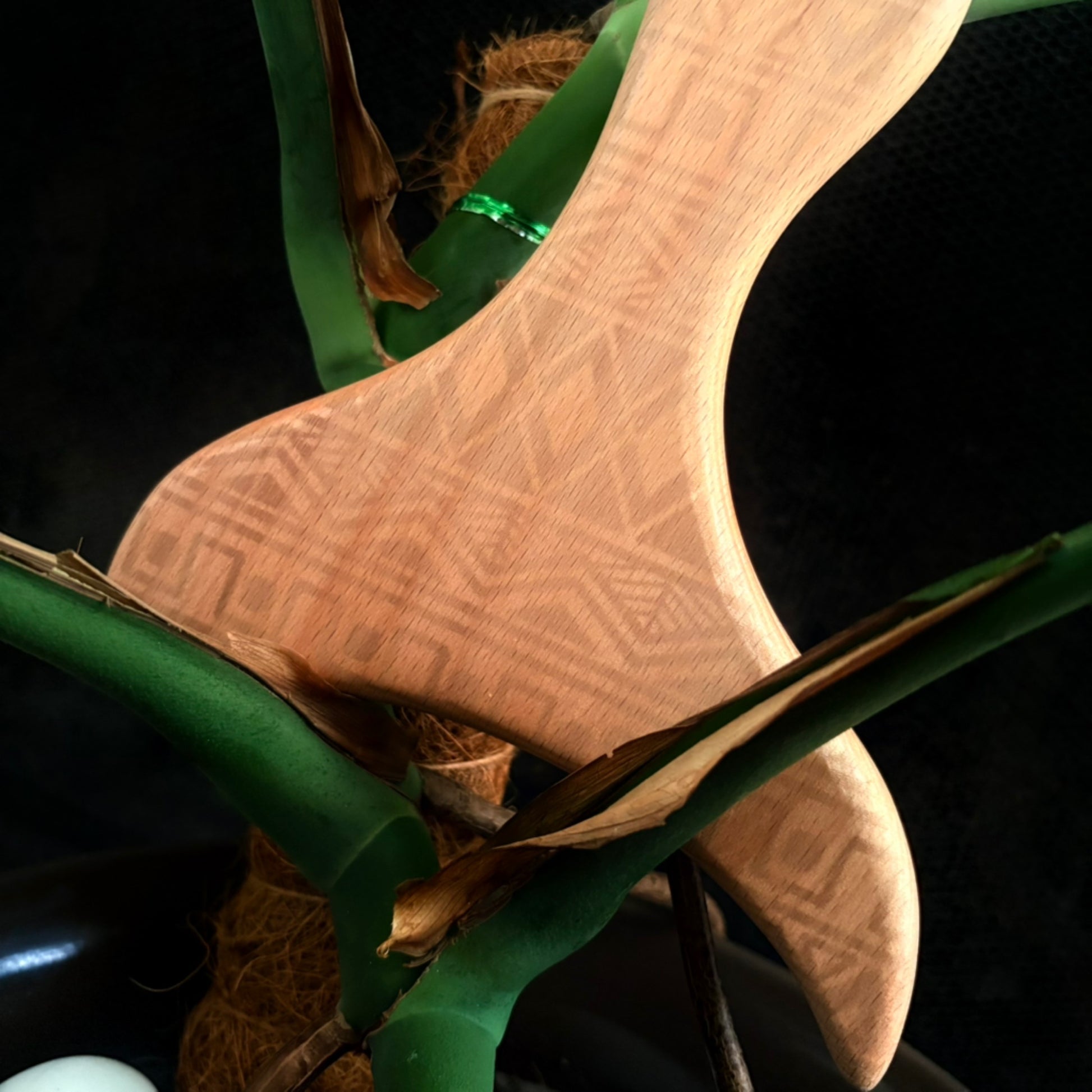 Wood Tool image 0